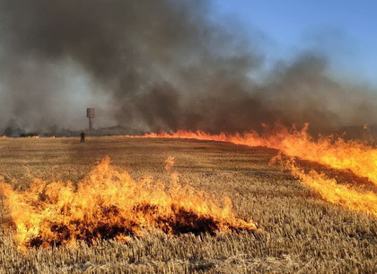 Еще одно злаковое поле горело под Лозовой