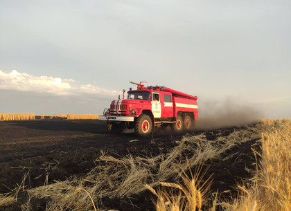12 гектаров пшеницы сгорело на поле под Купянском