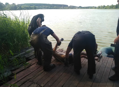 В центральном пруду Валок утонул неизвестный мужчина (ФОТО)
