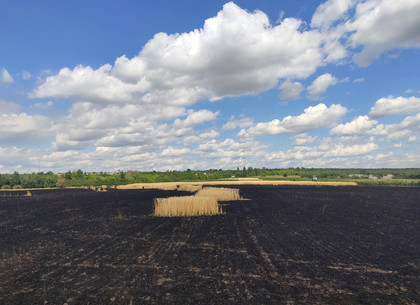 Селяне потушили пожар на пшеничном поле (ФОТО)