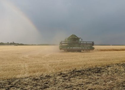 Харьковщина намолотила первый миллион тонн зерна нового урожая