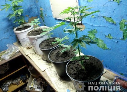 Оружие и наркотики нашли при обыске в доме под Харьковом (ФОТО)