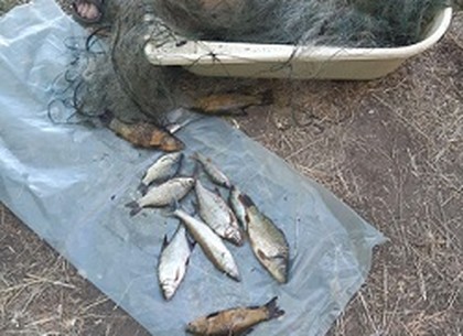 Нарушитель с лесковой сеткой нанес ущерб рыбному хозяйству