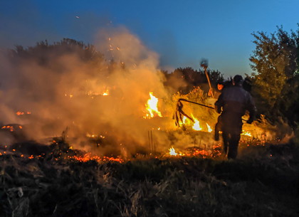 В сумерках возле кладбища пожарные тушили сухую траву (ФОТО)