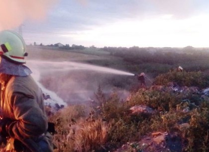 Сожли 18 гектаров стерни, тонны соломы и автомобиль: во сколько обошлось выжигание травы за сутки (ФОТО)