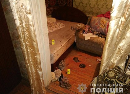 К 81-летней женщине в дом ворвался грабитель (ФОТО)