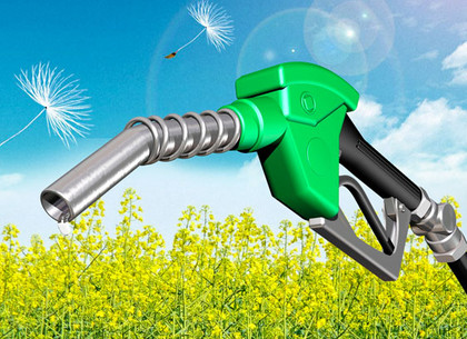 День биодизеля: события 10 августа