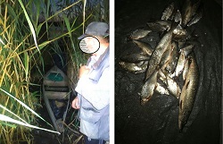 На Краснооскольском водохранилище браконьер нанес ущерб в две с половиной тысячи гривен