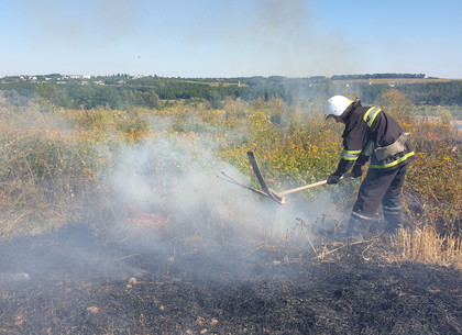 За последние сутки спасатели ликвидировали 34 пожара в экосистемах (ФОТО)