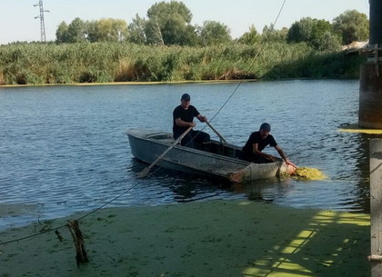 Балаклейский район: спасатели достали из воды утопленника