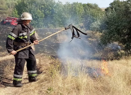 Агессивные поджигатели сухостоя загрязнили воздух в Харькове до опасных красных зон (ФОТО)
