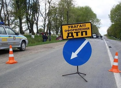 На Харьковщине легковушка слетела с дороги и врезалась в дерево: погибла  авто-леди