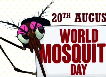 Всемирный день лени, Словарь, писатель и комары: какой сегодня праздник 20 августа