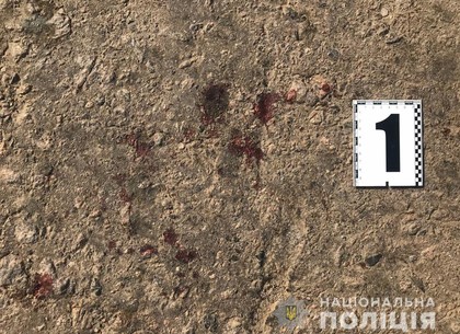 В пригороде Харькова подросток хотел перерезать горло 47 летней соседке