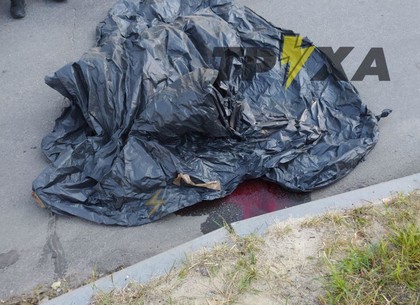 ДТП: на Салтовском шоссе погиб пешеход (ФОТО, Обновлено)