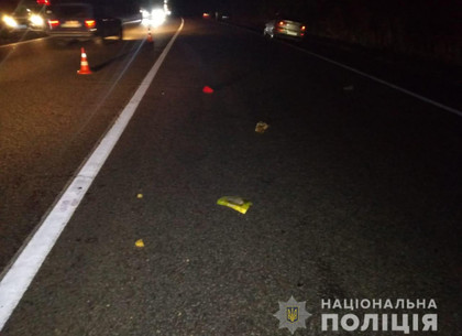 Под Харьковом водитель иномарки сбил женщину, которая шла по обочине