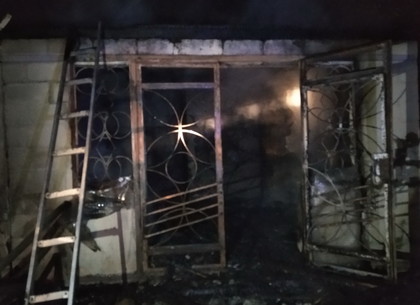 Новобаварский район: во время полуночного пожара в дачном доме погиб человек