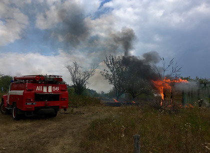 Спасатели ликвидировали 50 пожаров сухостоя и мусора площадью около 40 га
