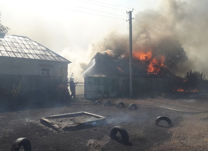 Пожар под Харьковом: огонь уничтожает лес и дома (ФОТО)