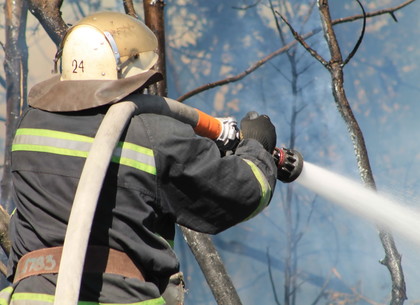 Пожары в Двуречанском и Чугуевском районах расследуются как поджоги