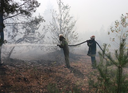 Пожарные продолжают тушить тлеющие очаги в Двуречанском районе (ФОТО)