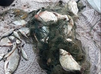 Рыболов-браконьер нанес ущерб в пять тысяч гривен