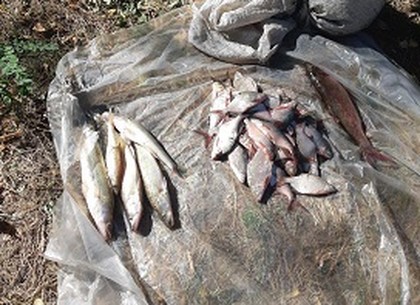 На Краснооскольском водохранилище нарушители нанесли почти 8 тысяч гривен убытков