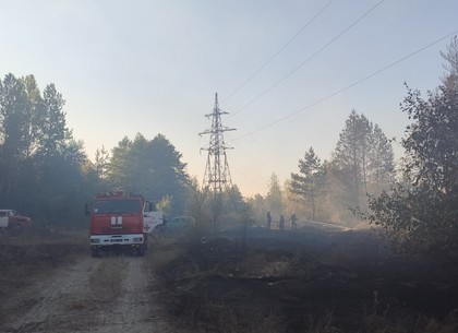 Лесной пожар под Харьковом: шесть подразделений огнеборцев справились с пламенем (ФОТО)