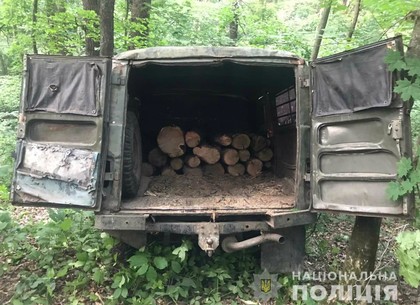 Увозили десятки срубленных деревьев: черных лесорубов поймали на горячем (ГУ Нацполиции)