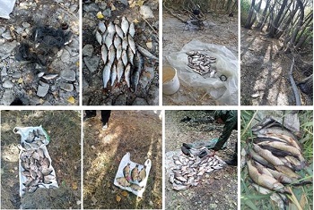 Сколько убытков нанесли браконьеры, посчитали в рыбоохранном патруле (Рыбнадзор)