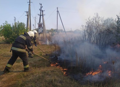 ФОТОфакт: сжигание сухостоя уничтожает дома и урожай (ГСЧС)