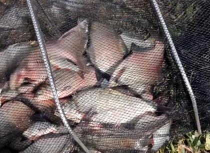 ФОТО: Харьковский рыбоохранный патруль зафиксировал ущерб от браконеров водным ресурсам Харькова почти на 30 000 грн. (ХРП)