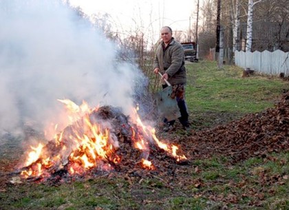 Харьковские экоинспекторы будут штрафовать частников по 100 долларов а дворников предпритий по 400 за сжигание листьев (Госэкоинспекция в Харковской области)