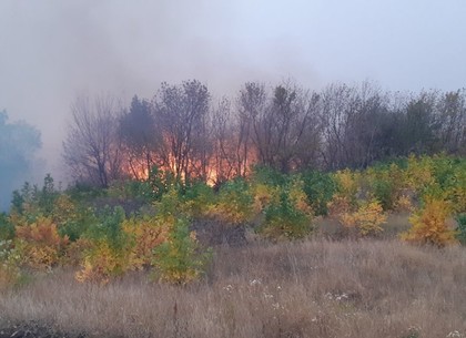 ФОТО: В ветренный день под Харьковом тушили крупные пожары (ГСЧС)
