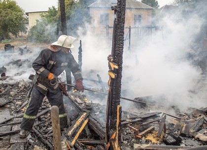 ФОТО: Домашние животные погибли в пожаре под Харьковом (ГСЧС)