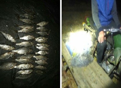 Вечерний клев оказался результативным для рыбоохранного патруля (Рыбнадзор)