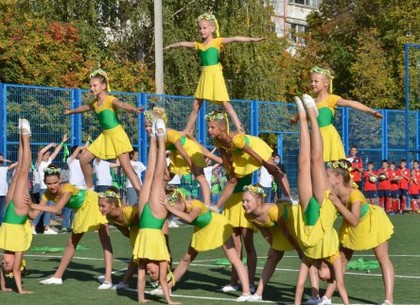 В Харькове реконструировали 101 школьный стадион (ХГС)