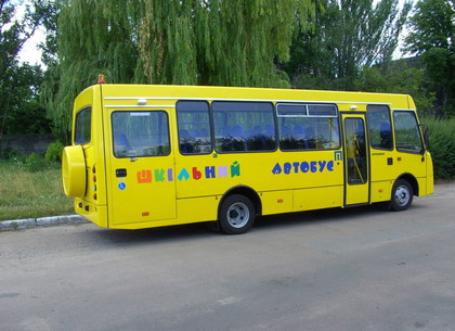 Суд оштрафовал водителя школьного автобуса, который сбил пассажирку (ЕРСР)