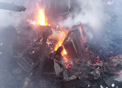 ФОТО: Пара нарядов спасателей боролась с последствиями пожара в Питомнике (ГСЧС)