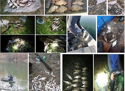 Харьковские браконьеры «наловили» штрафов почти на 50 000 грн. (рыбоохранный патруль)