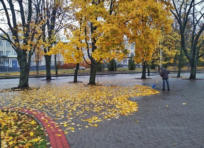 Прогноз погоды и магнитных бурь в Харькове на среду, 4 ноября (РЕДПОСТ)