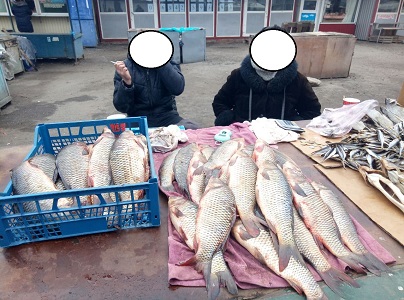 Рыбоохранный патруль вычислил нарушителей на харьковских рынках (Рыбнадзор)