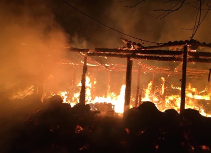 ФОТО: В частном хозяйстве под Харьковом сгорело 50 свиней (ГСЧС)