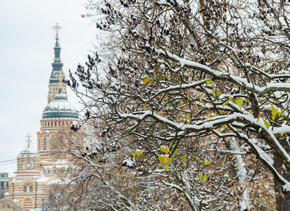 ФОТО: Снежное утро в Харькове (РЕДПОСТ)