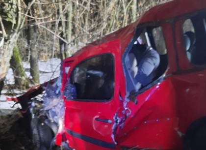ФОТО: Под Харьковом Renault врезался в дерево, водителя вырезали спасатели (ГСЧС)