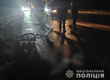 ФОТО: Под Харьковом насмерть сбили велосипедиста (ГУНП)