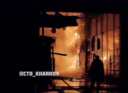 ВИДЕО, ФОТО: Пожар на Барабашовском рынке (Telegram)