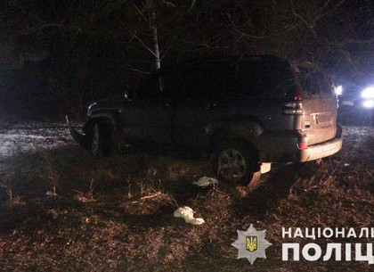 ФОТО: Под Харьковом автомобиль врезался в дерево – пострадали трое детей (ГУ НП)