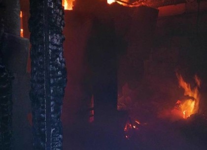 Из-за неисправного дымохода пожарные больше двух часов тушили сарай – ГСЧС