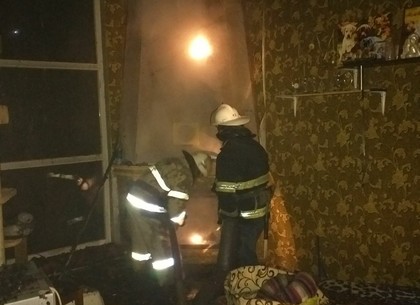 ФОТО: Под Харьковом горела крыша сарая: пожарным понадобилась автолестница – ГСЧС